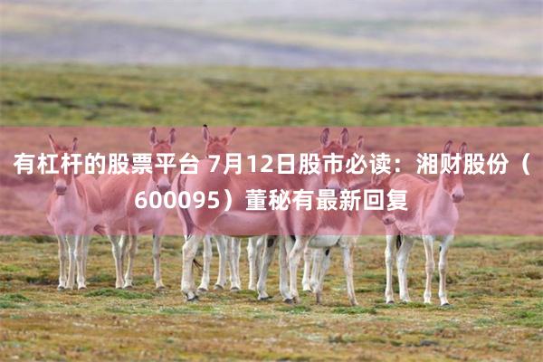有杠杆的股票平台 7月12日股市必读：湘财股份（600095）董秘有最新回复