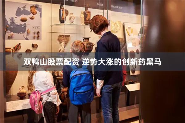 双鸭山股票配资 逆势大涨的创新药黑马