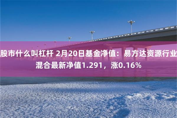 股市什么叫杠杆 2月20日基金净值：易方达资源行业混合最新净值1.291，涨0.16%