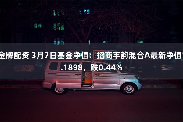 金牌配资 3月7日基金净值：招商丰韵混合A最新净值1.1898，跌0.44%