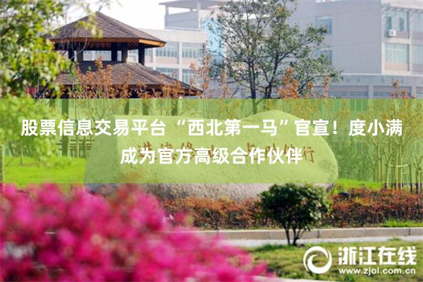 股票信息交易平台 “西北第一马”官宣！度小满成为官方高级合作伙伴