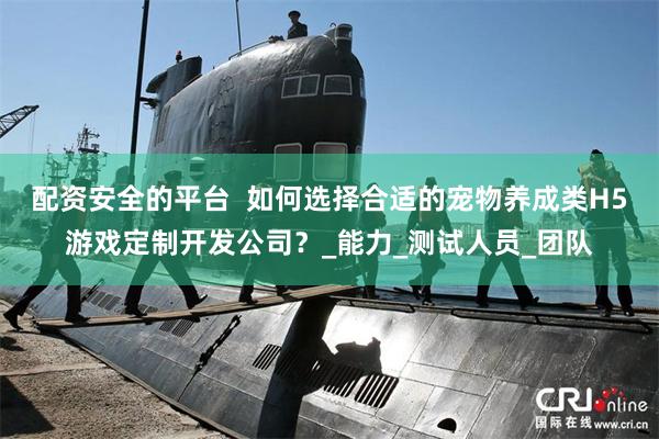 配资安全的平台  如何选择合适的宠物养成类H5游戏定制开发公司？_能力_测试人员_团队