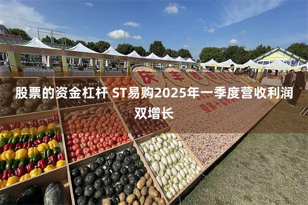 股票的资金杠杆 ST易购2025年一季度营收利润双增长