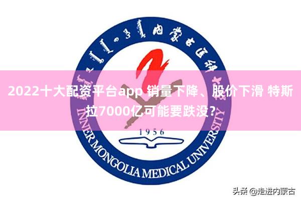 2022十大配资平台app 销量下降、股价下滑 特斯拉7000亿可能要跌没？