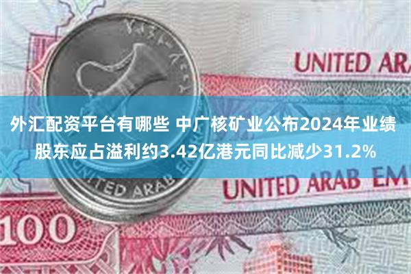 外汇配资平台有哪些 中广核矿业公布2024年业绩 股东应占溢利约3.42亿港元同比减少31.2%