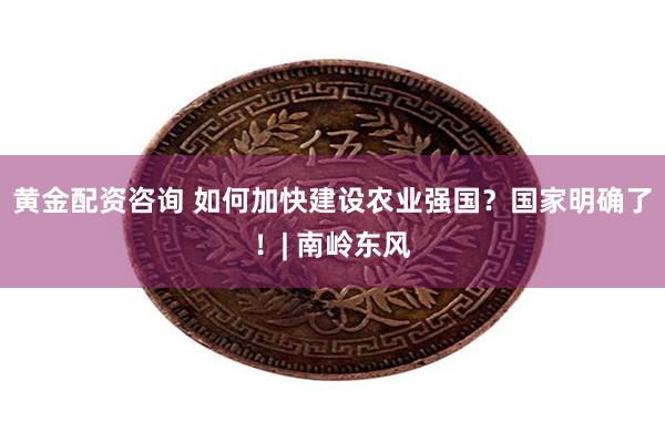黄金配资咨询 如何加快建设农业强国？国家明确了！| 南岭东风