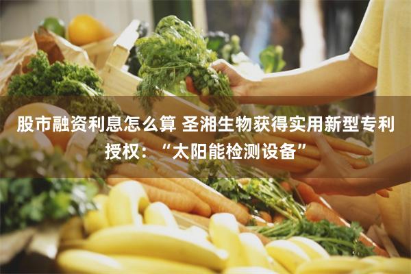 股市融资利息怎么算 圣湘生物获得实用新型专利授权：“太阳能检测设备”