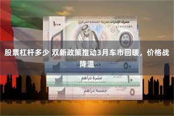 股票杠杆多少 双新政策推动3月车市回暖，价格战降温