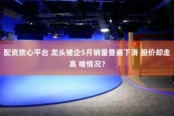 配资放心平台 龙头猪企5月销量普遍下滑 股价却走高 啥情况？