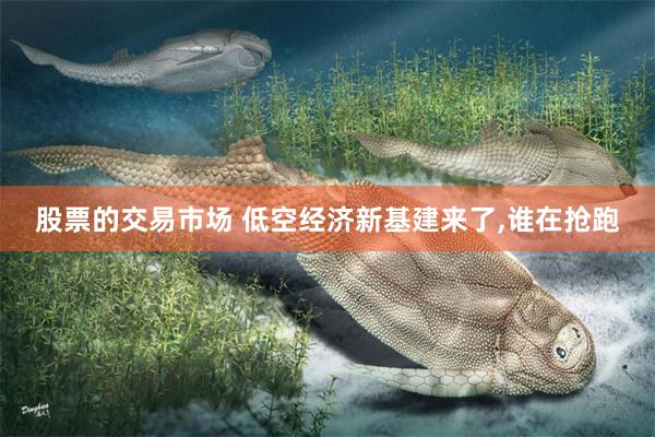 股票的交易市场 低空经济新基建来了,谁在抢跑